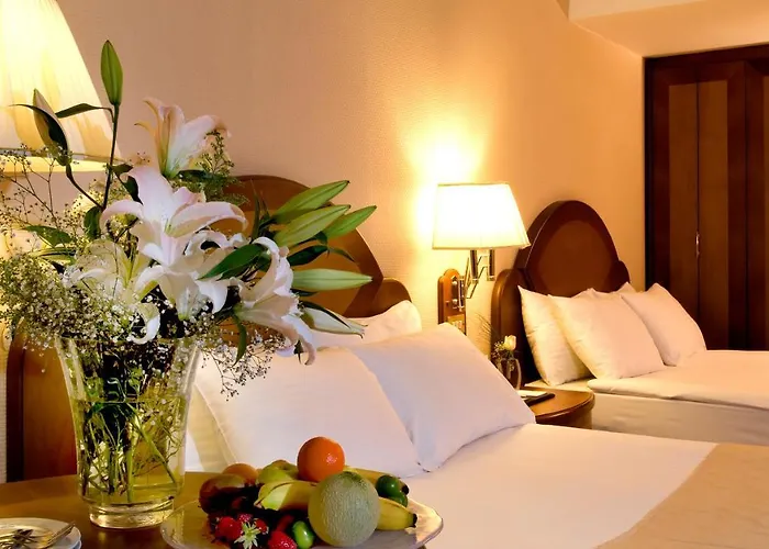 Altinel & Convention Center أنقرة