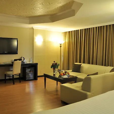 Altinel & Convention Center 5* אנקרה